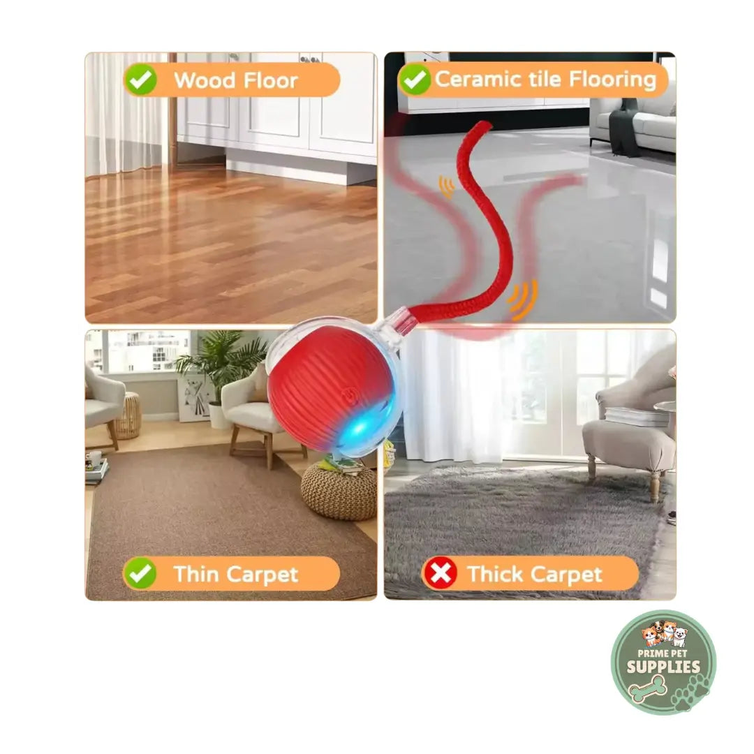 Active Rolling Ball with Tail for Dogs PrimePetSupplies