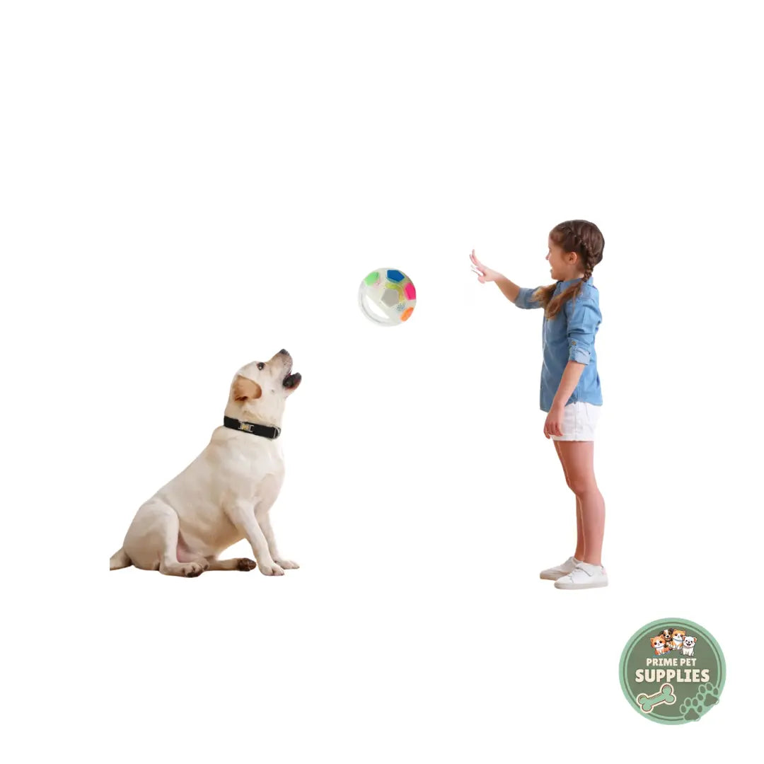 Calming Football Toy PrimePetSupplies