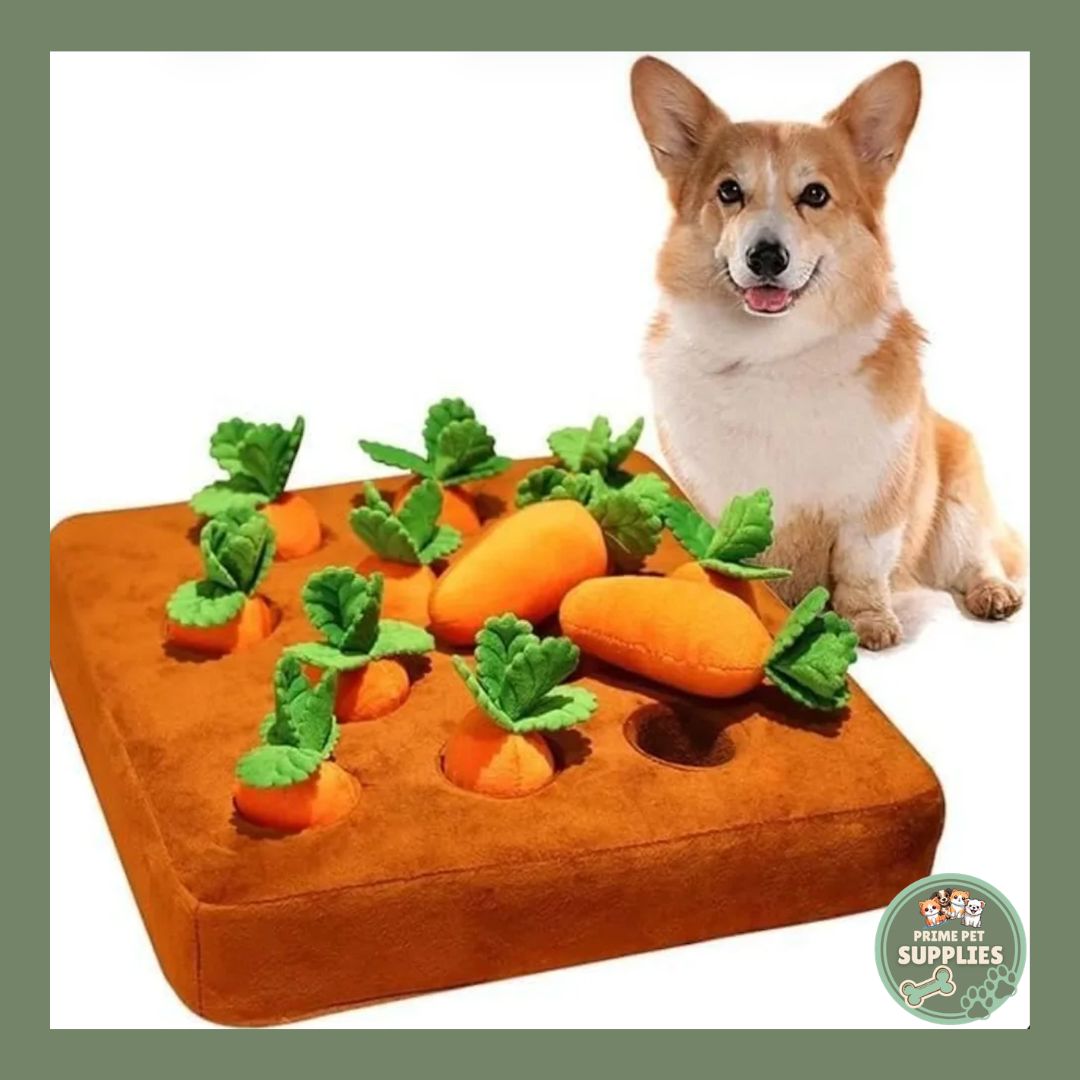 Why Mealtime Should Be More Than Just Eating for Your Pets