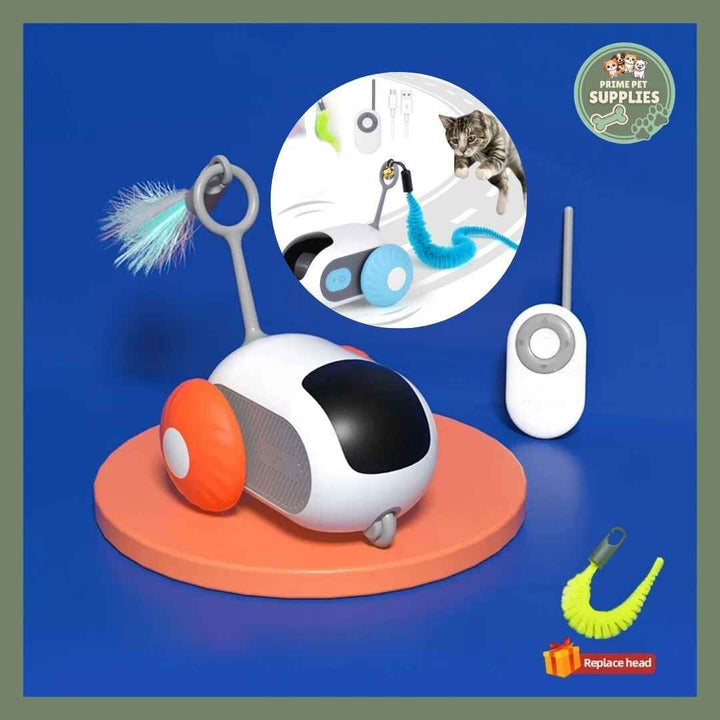 Why Toys Matter More Than You Think: The Hidden Connection Between Pets and Play