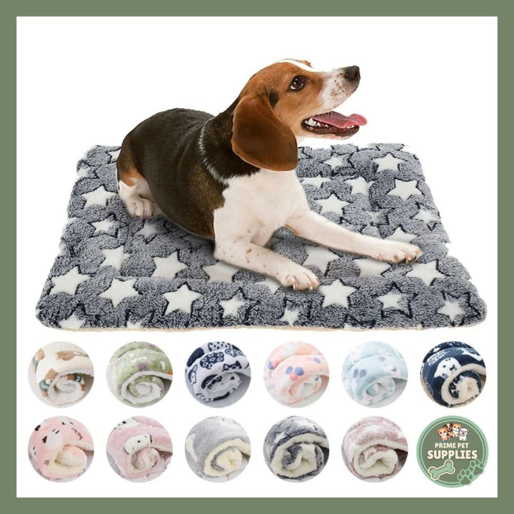 How to Create the Perfect Sleeping Space for Your Dog or Cat