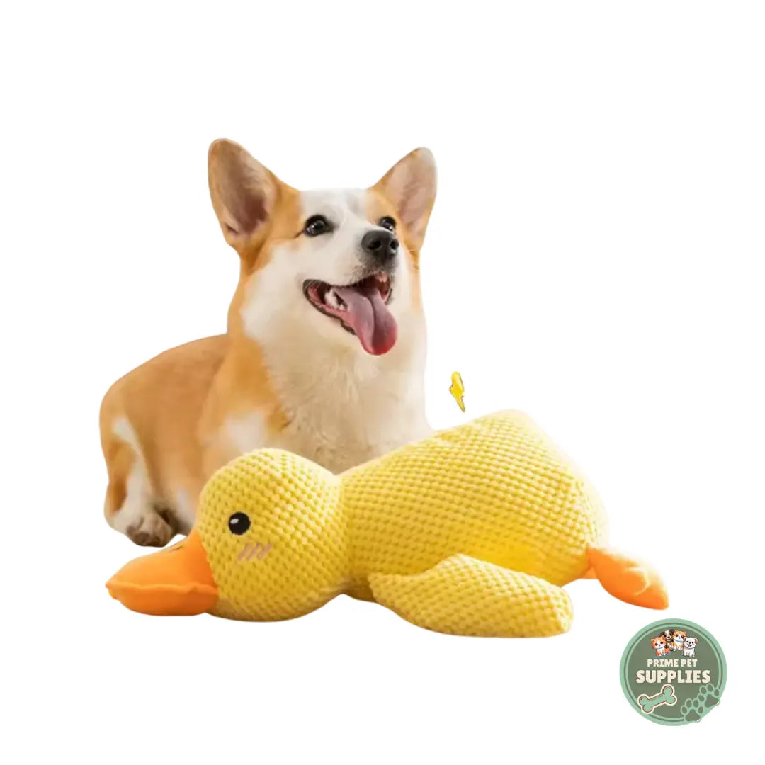 Calming Duck Hug Dog Toy PrimePetSupplies