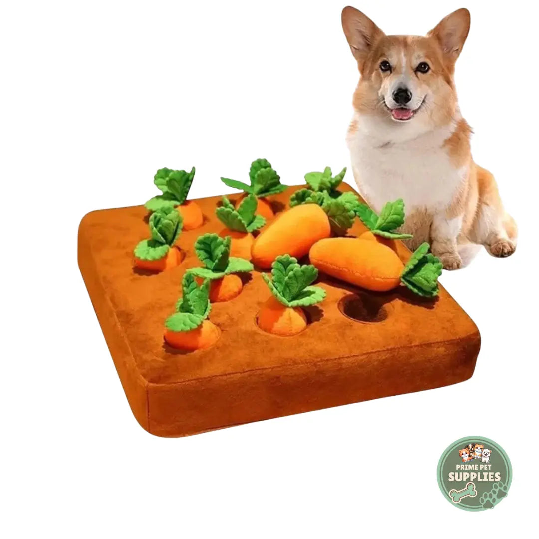 Carrot Farm Toy PrimePetSupplies