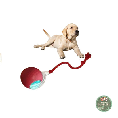 Active Rolling Ball with Tail for Dogs PrimePetSupplies