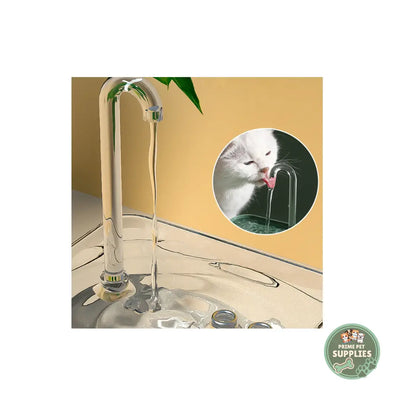 Pet Water Dispenser for Clean and Fresh Water PrimePetSupplies