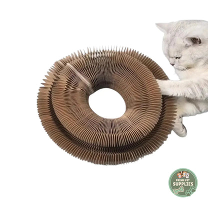 Cat Ball and Scratch Toy PrimePetSupplies