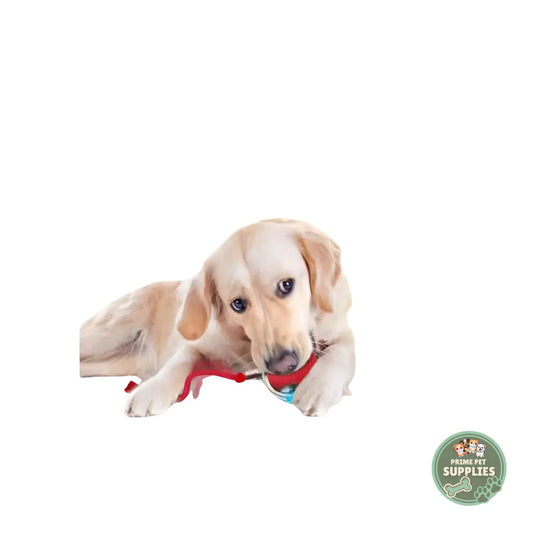 Active Rolling Ball with Tail for Dogs PrimePetSupplies