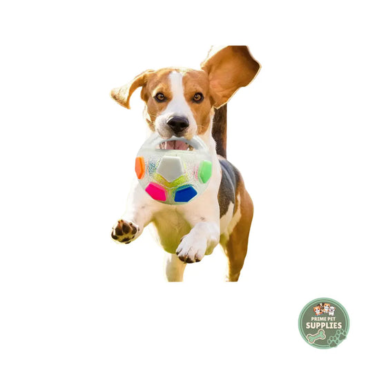 Calming Football Toy PrimePetSupplies
