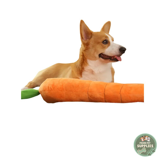 Calming Carrot Toy PrimePetSupplies