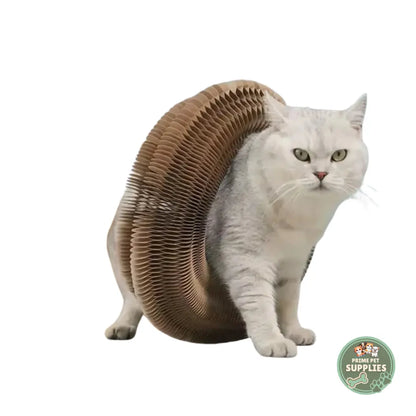 Cat Ball and Scratch Toy PrimePetSupplies