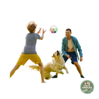 Calming Football Toy PrimePetSupplies