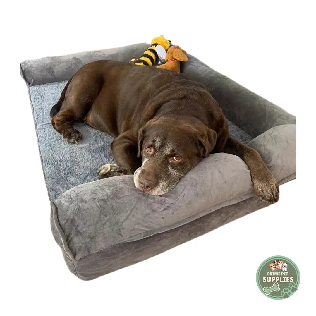 Orthopedic Dog Bed - Waterproof, Sofa-Style Bolster, Washable PrimePetSupplies