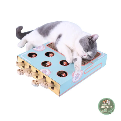 Cat Game Box – Interactive Hunting & Scratch Toy PrimePetSupplies