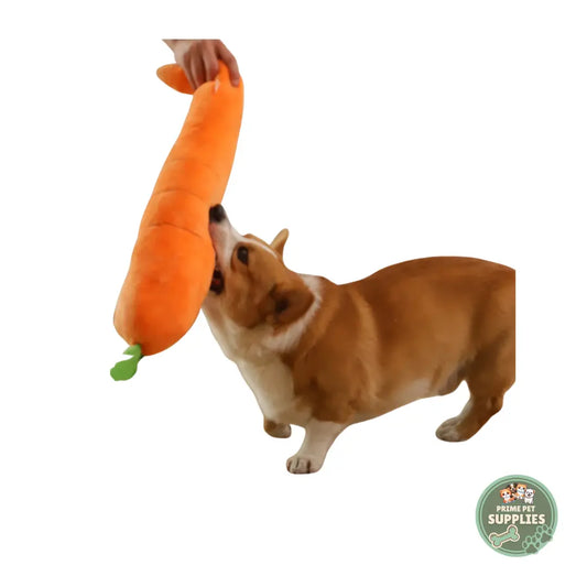 Calming Carrot Toy PrimePetSupplies