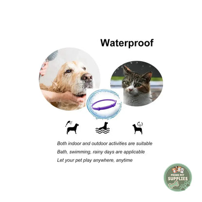 Calming Collar for Dogs and Cats PrimePetSupplies