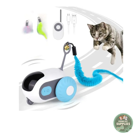 Remote Control Cat Toy PrimePetSupplies