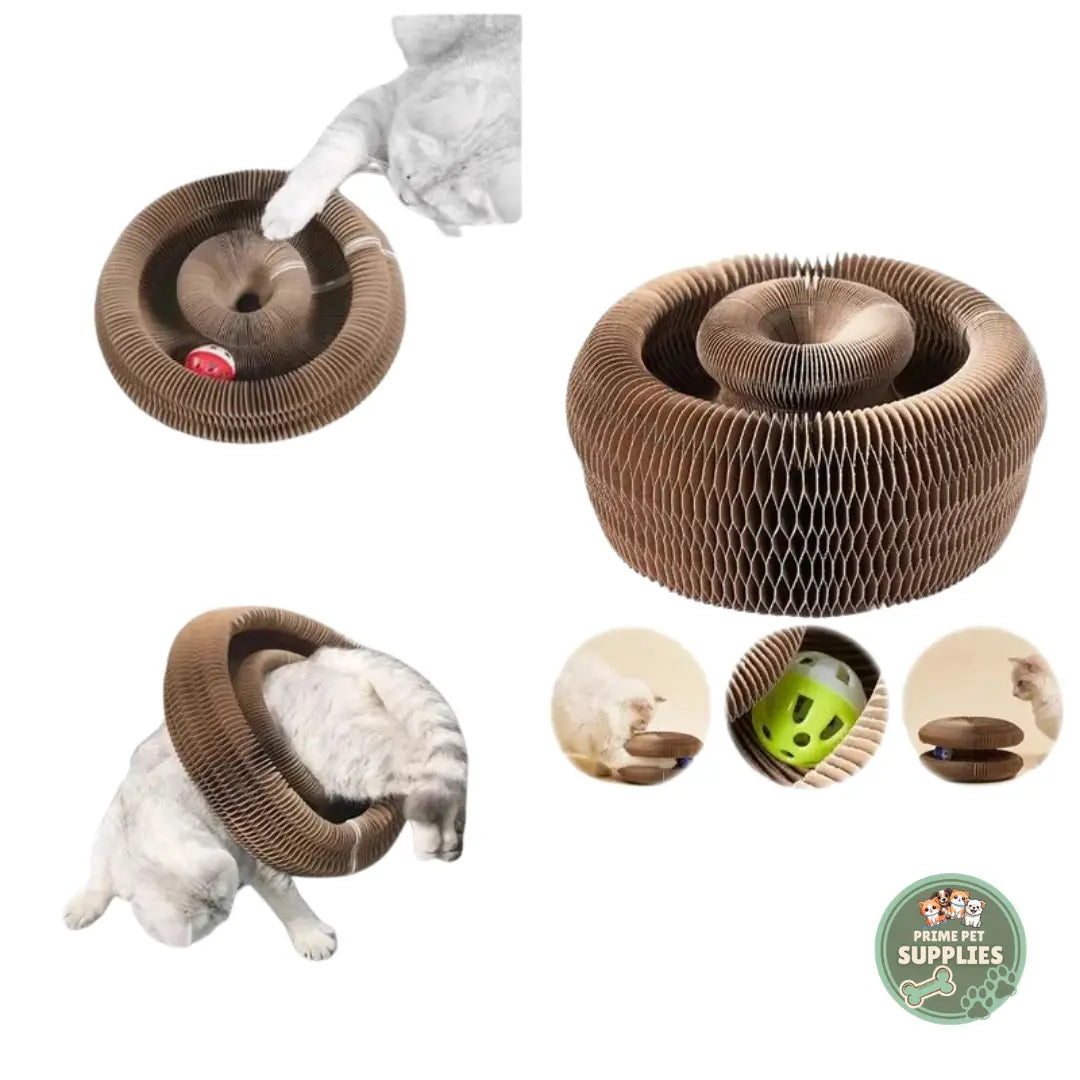 Cat Ball and Scratch Toy PrimePetSupplies