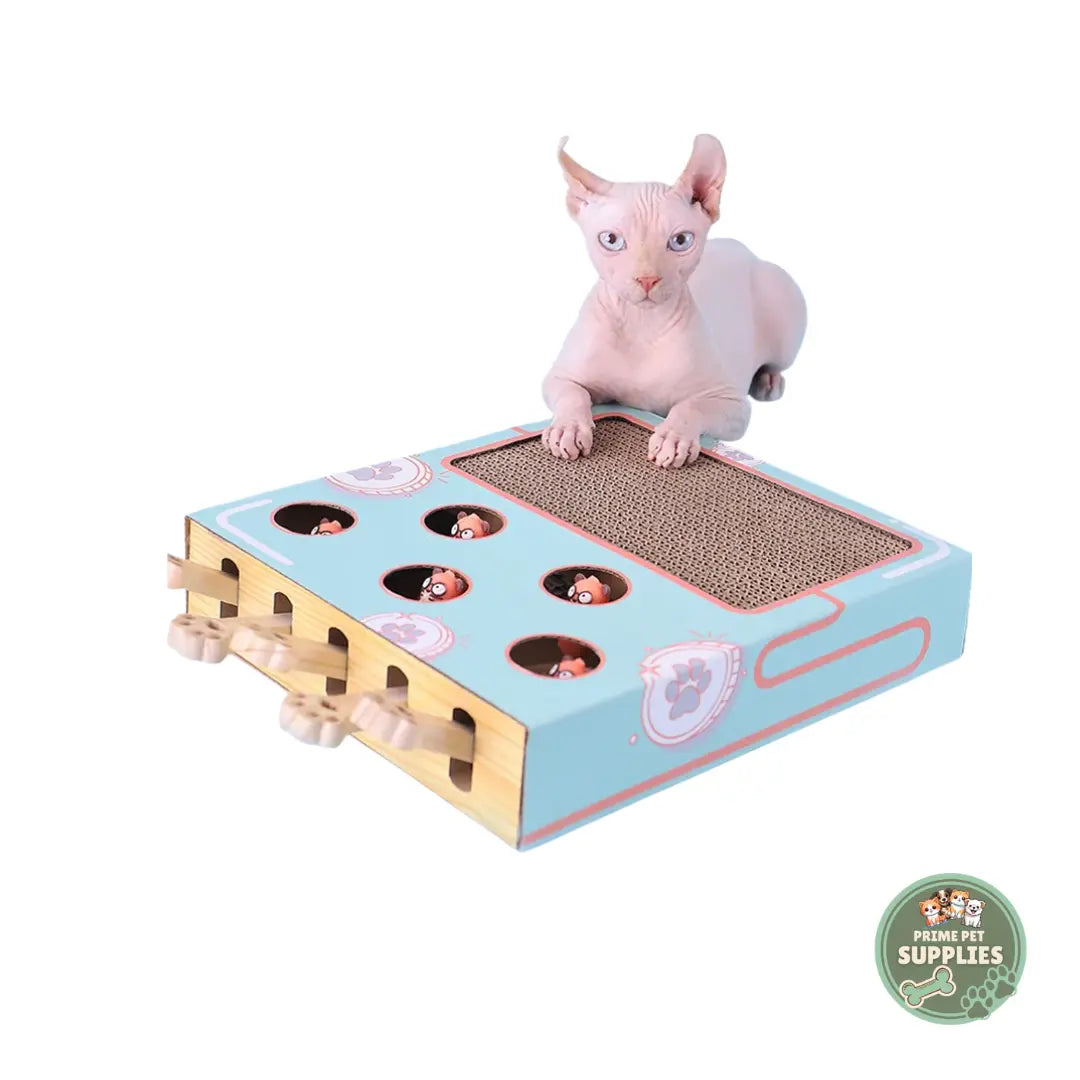 Cat Game Box – Interactive Hunting & Scratch Toy PrimePetSupplies