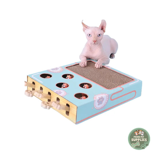 Cat Game Box – Interactive Hunting & Scratch Toy PrimePetSupplies