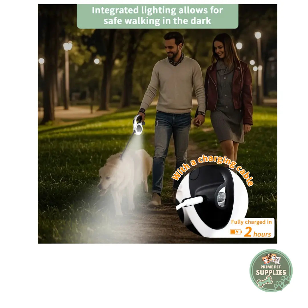 Dog Leash with USB Rechargeable LED Light PrimePetSupplies