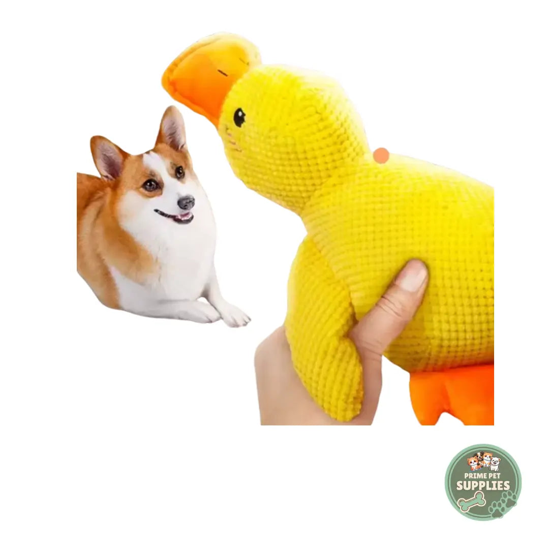 Calming Duck Hug Dog Toy PrimePetSupplies