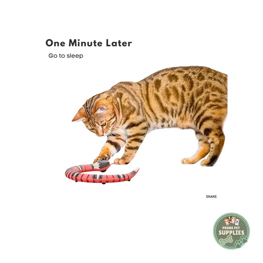 Snake - Interactive Cat Toy PrimePetSupplies