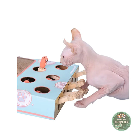 Cat Game Box – Interactive Hunting & Scratch Toy PrimePetSupplies