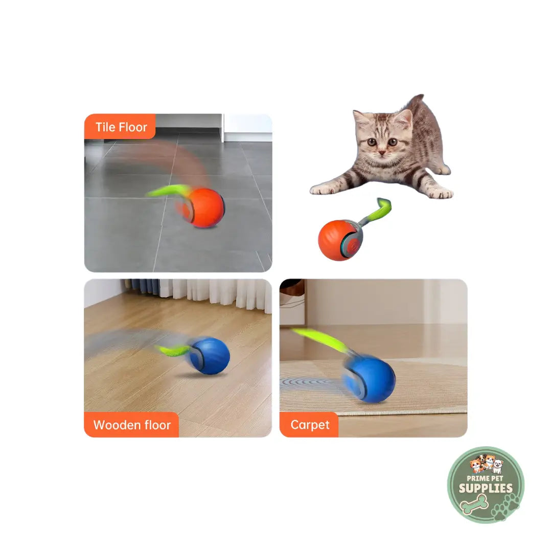 Smart Automatic Rolling Ball for Cats PrimePetSupplies