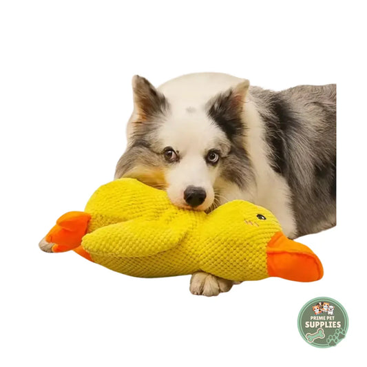 Calming Duck Hug Dog Toy PrimePetSupplies
