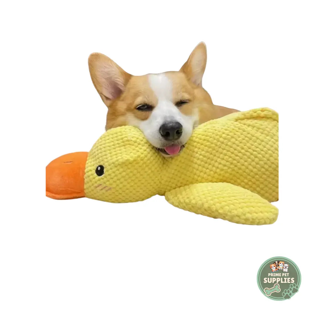 Calming Duck Hug Dog Toy PrimePetSupplies