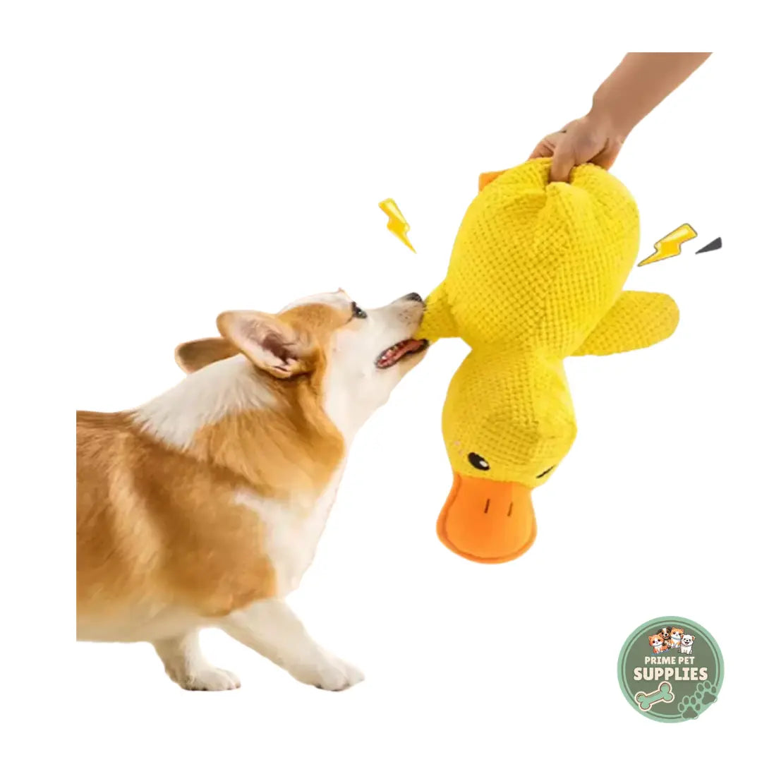 Calming Duck Hug Dog Toy PrimePetSupplies
