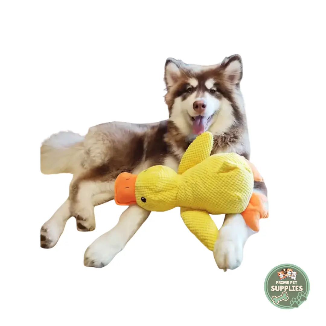 Calming Duck Hug Dog Toy PrimePetSupplies